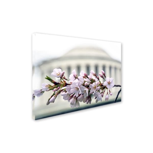 CATeyes 'Jefferson Memorial Blossoms' Canvas Art,18x24